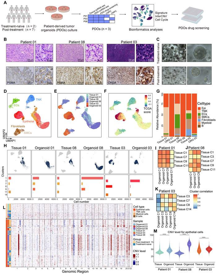 Theranostics Image