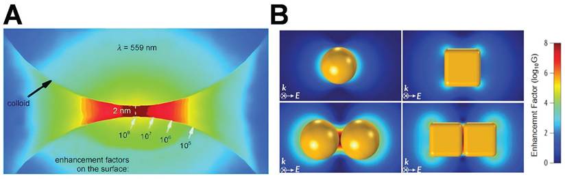 Theranostics Image