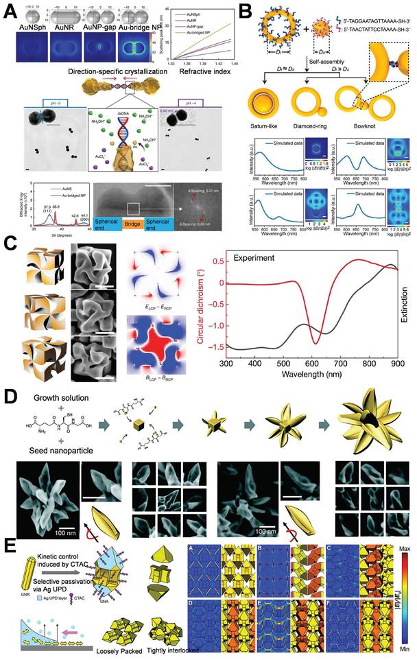 Theranostics Image