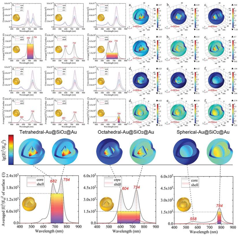 Theranostics Image