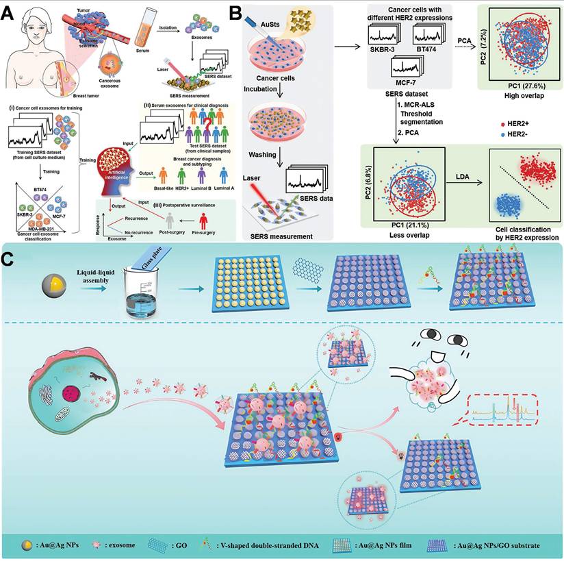 Theranostics Image