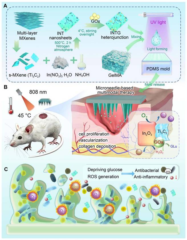 Theranostics Image