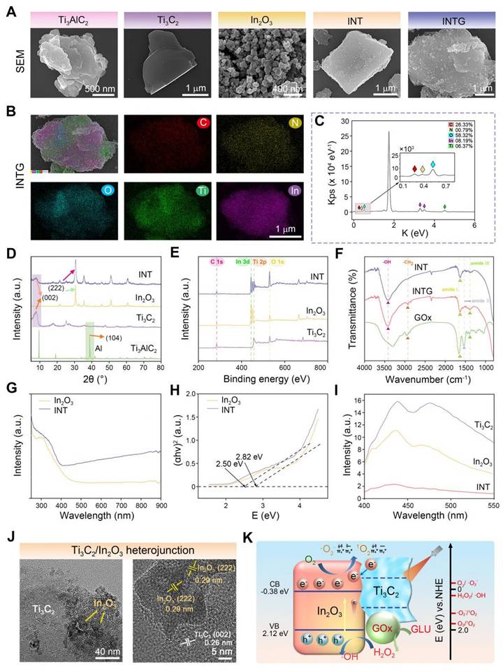 Theranostics Image