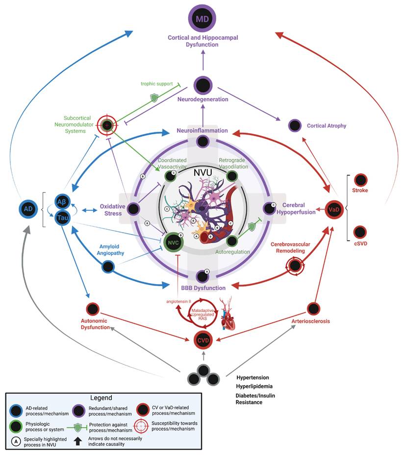 Theranostics Image