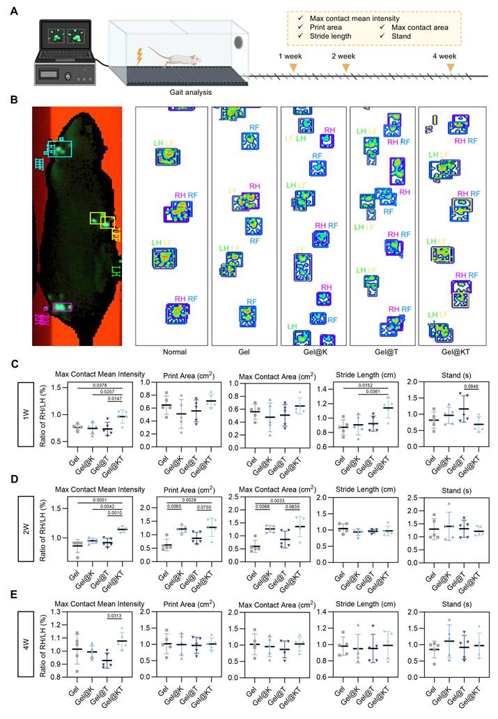 Theranostics Image