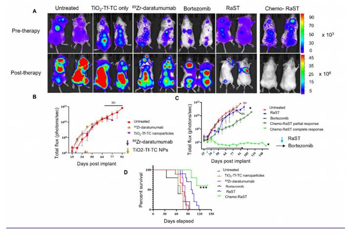 Theranostics Image