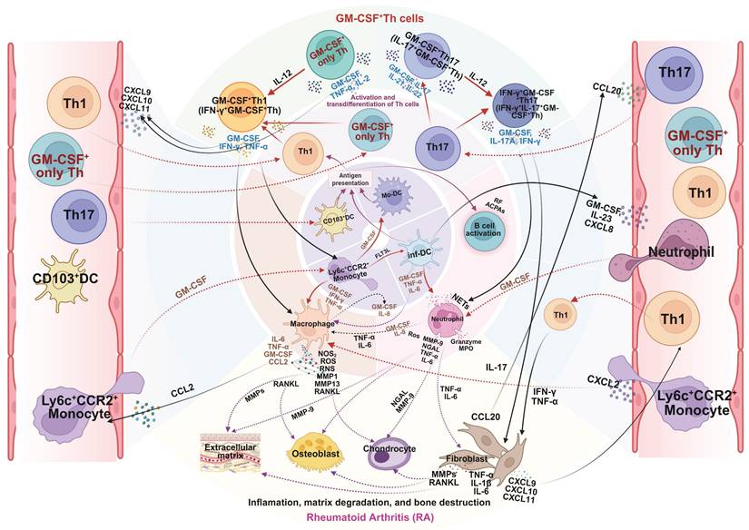Theranostics Image