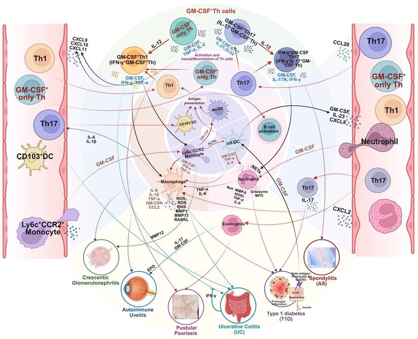 Theranostics Image