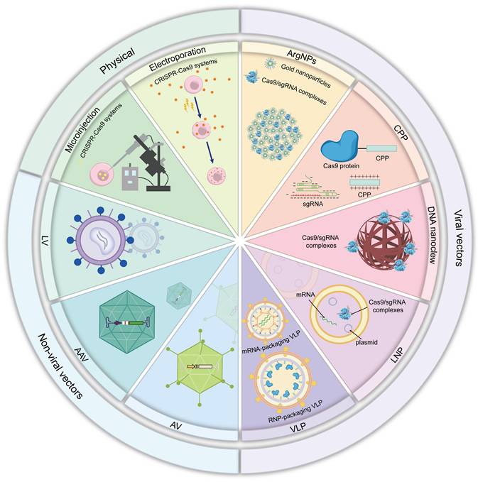 Theranostics Image