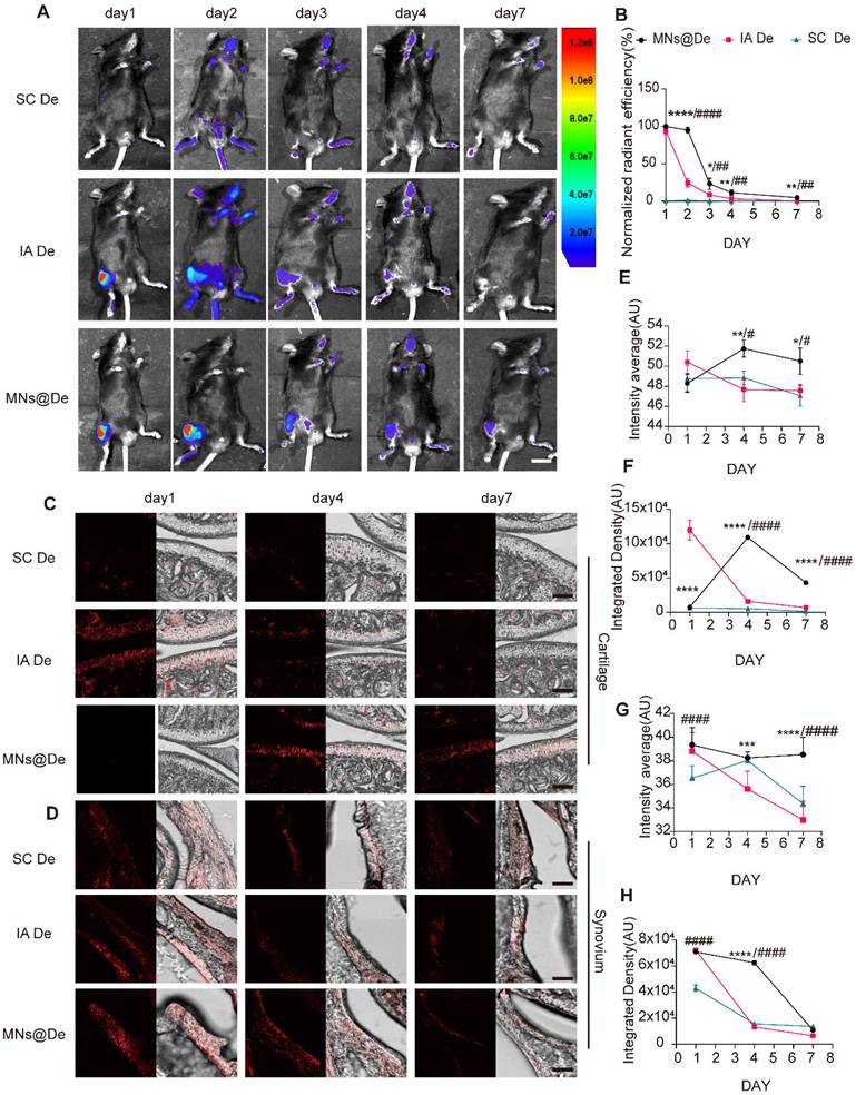 Theranostics Image