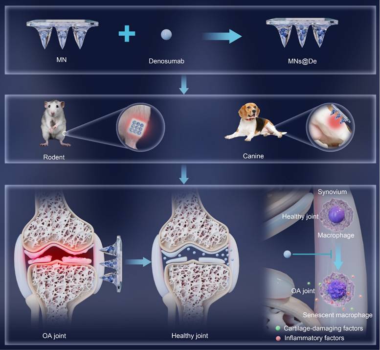 Theranostics Image