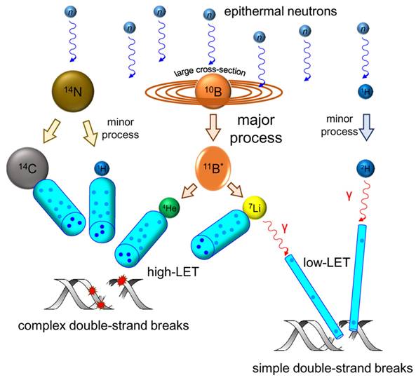 Theranostics Image