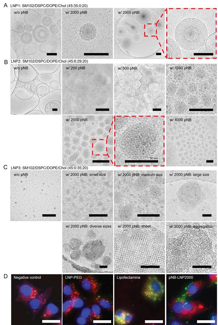 Theranostics Image