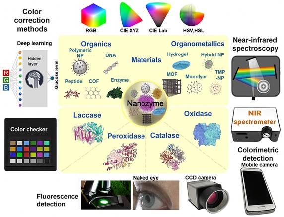 Theranostics Image