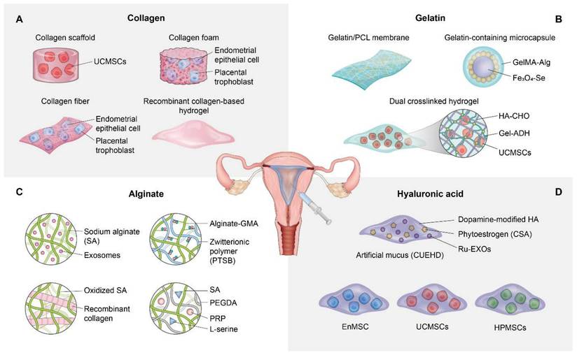 Theranostics Image
