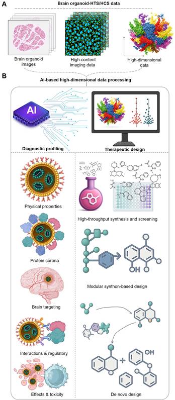 Theranostics Image