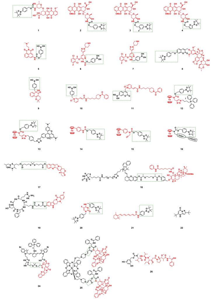 Theranostics Image