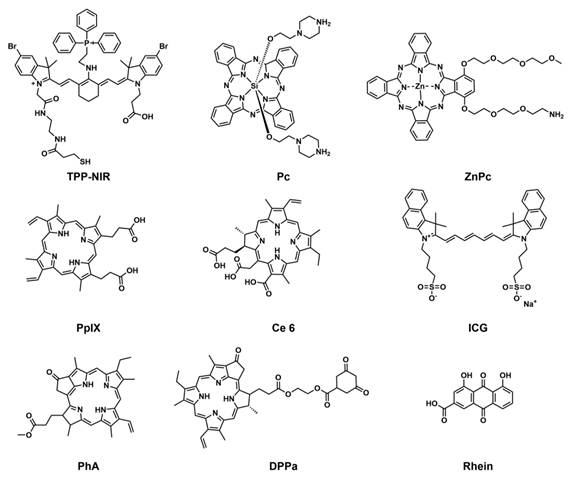 Theranostics Image
