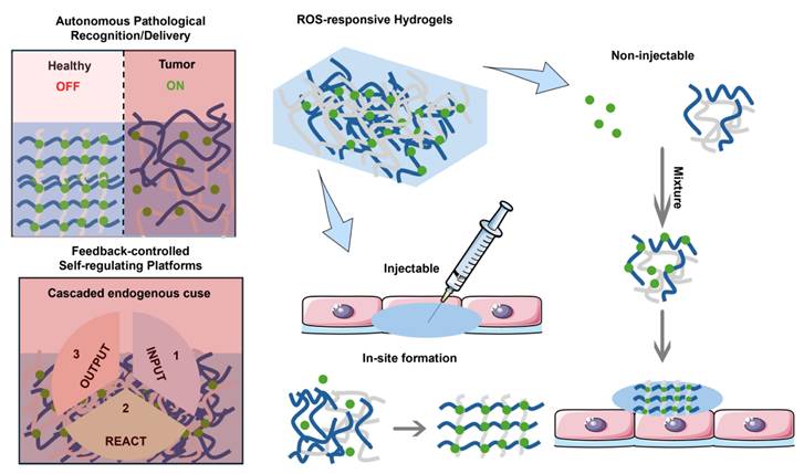 Theranostics Image