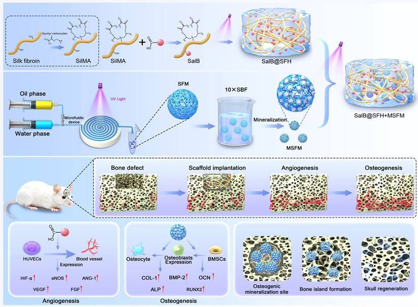 Theranostics Image