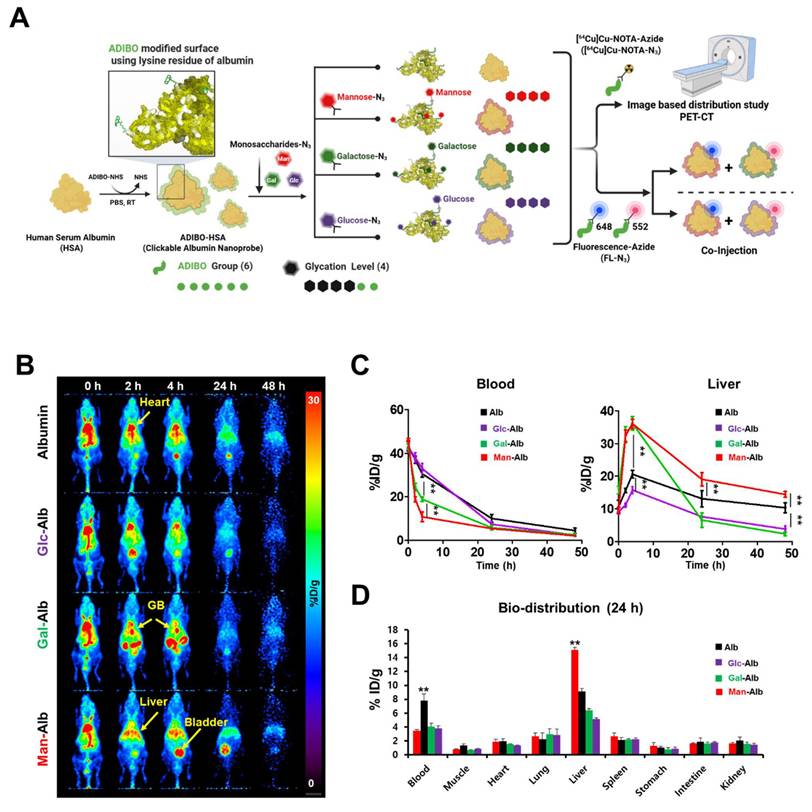Theranostics Image