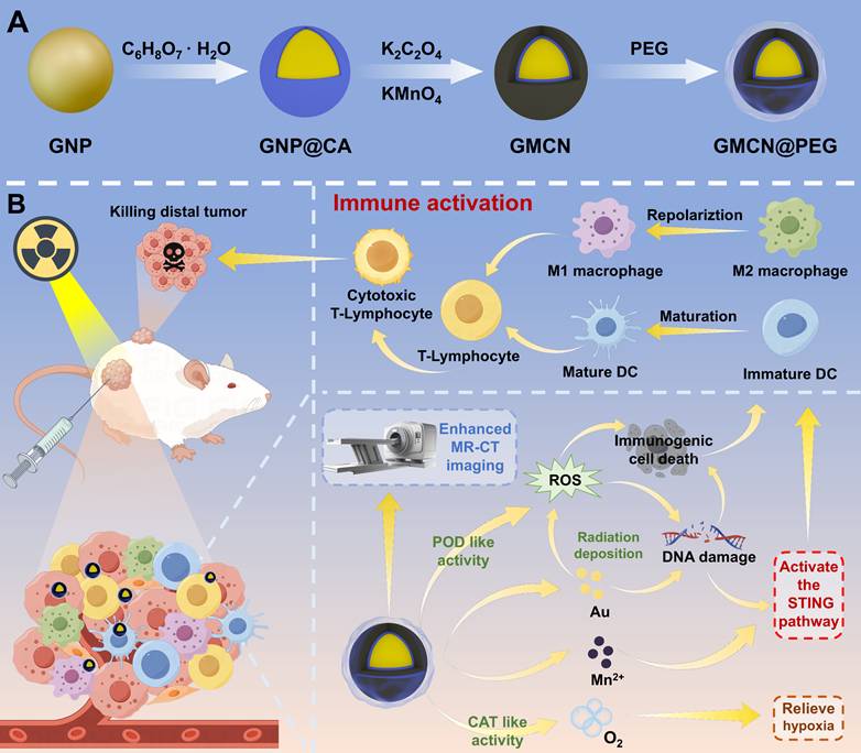 Theranostics Image