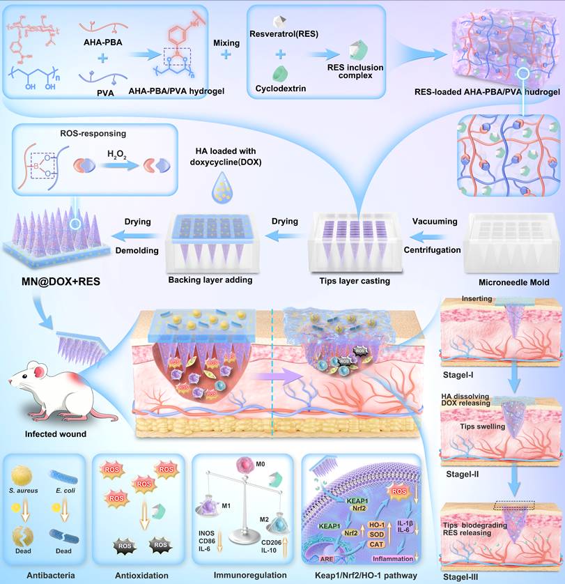 Theranostics Image