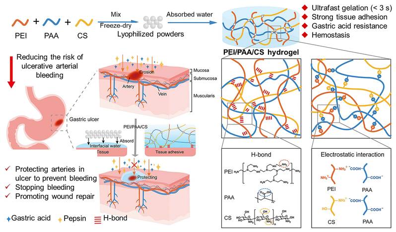 Theranostics Image