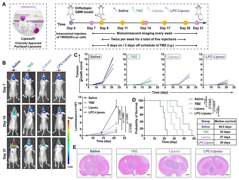 Theranostics Image