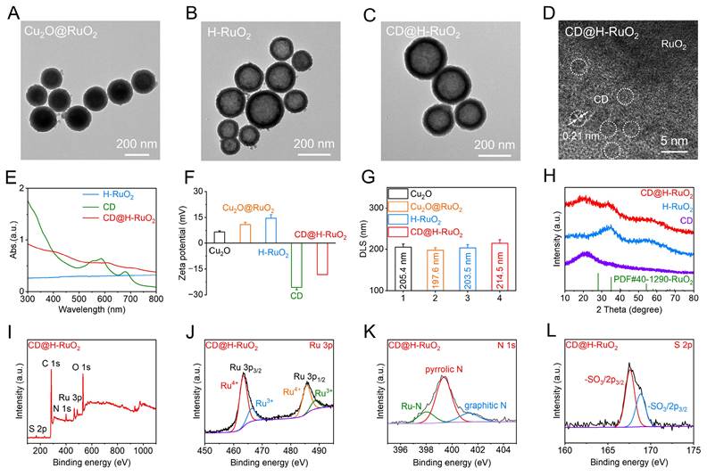 Theranostics Image