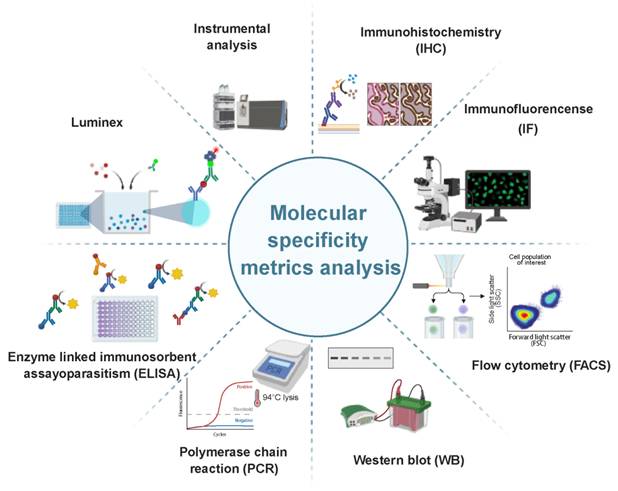 Theranostics Image