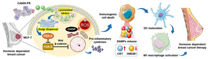 Theranostics Image