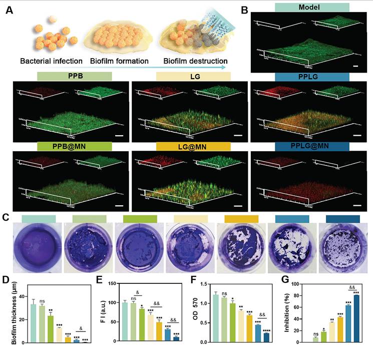 Theranostics Image
