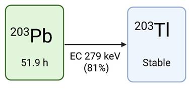 Theranostics Image