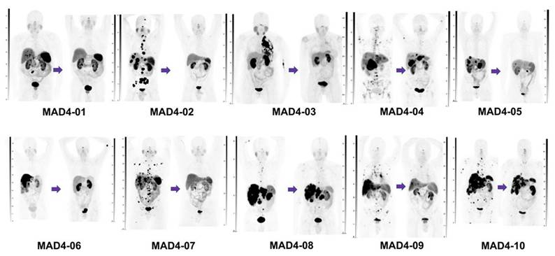 Theranostics Image