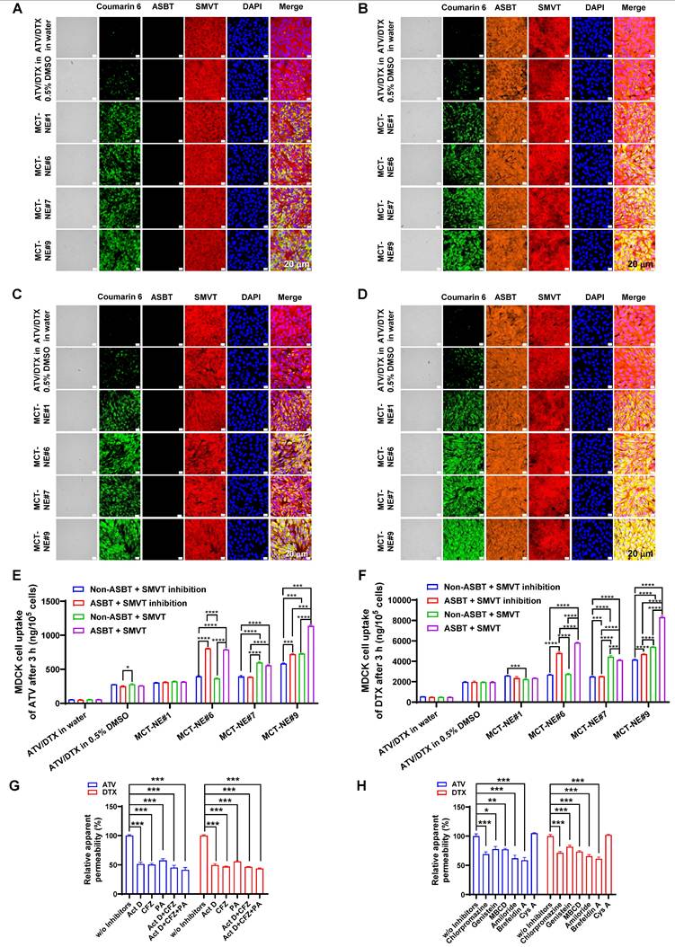 Theranostics Image