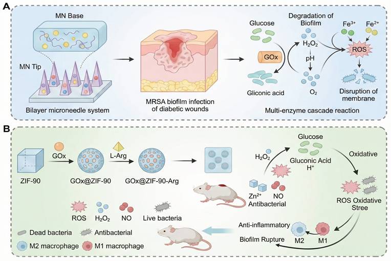 Theranostics Image