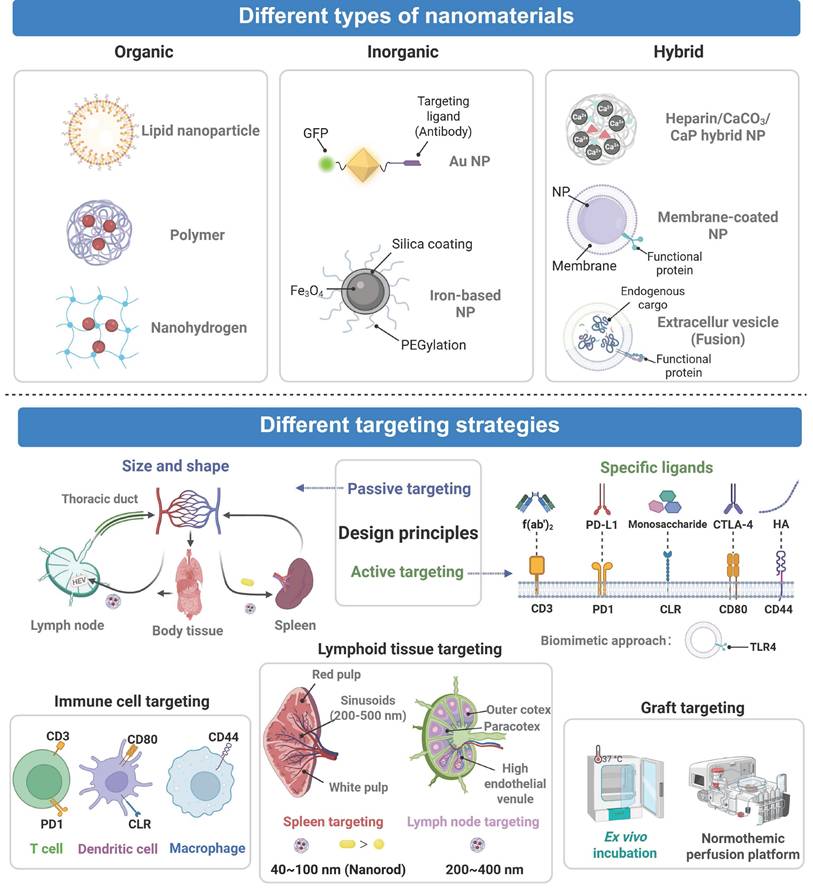 Theranostics Image
