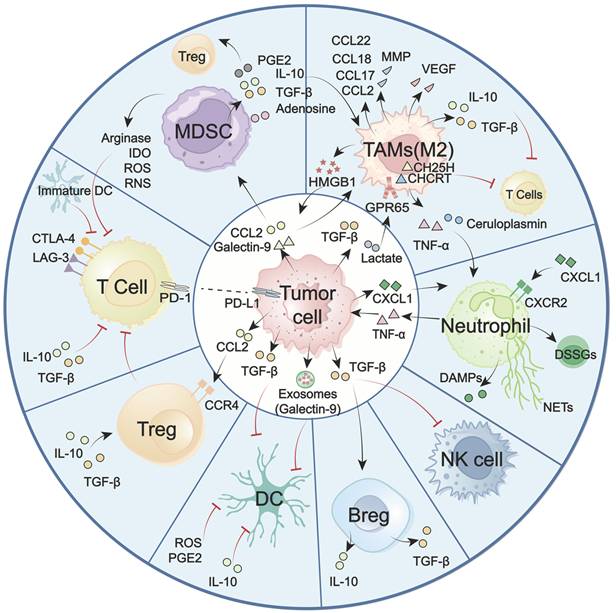 Theranostics Image