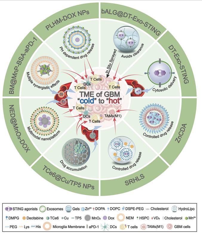 Theranostics Image