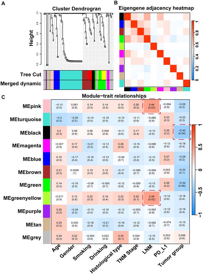 Theranostics Image