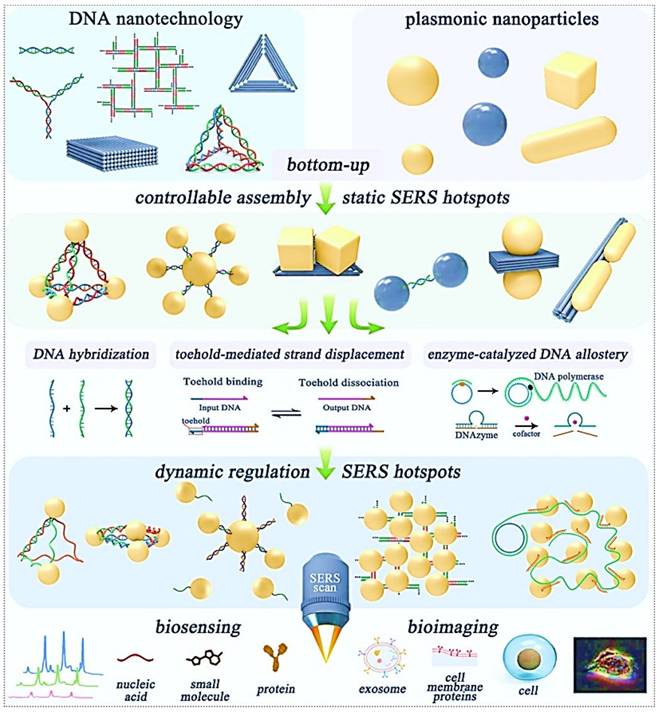 Theranostics Image