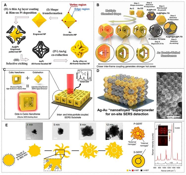 Theranostics Image