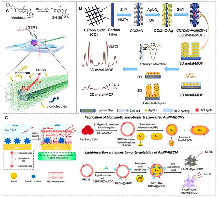 Theranostics Image