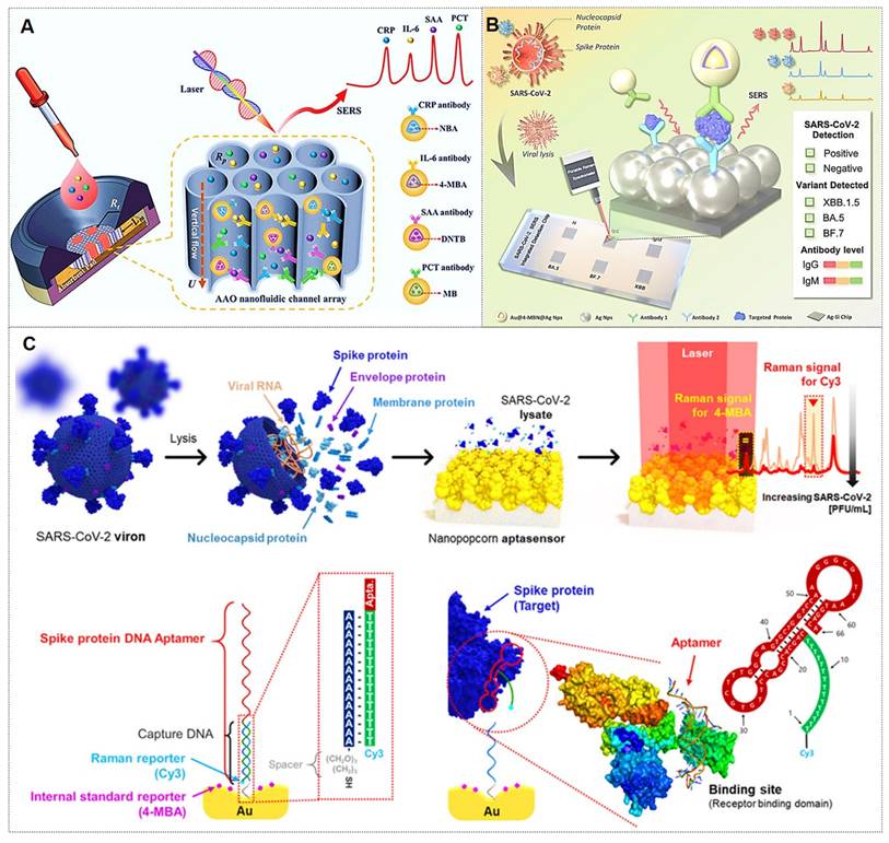 Theranostics Image
