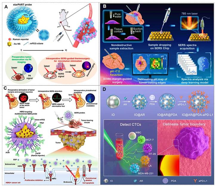 Theranostics Image