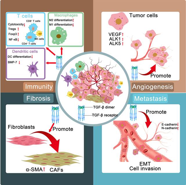 Theranostics Image