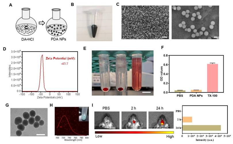 Theranostics Image