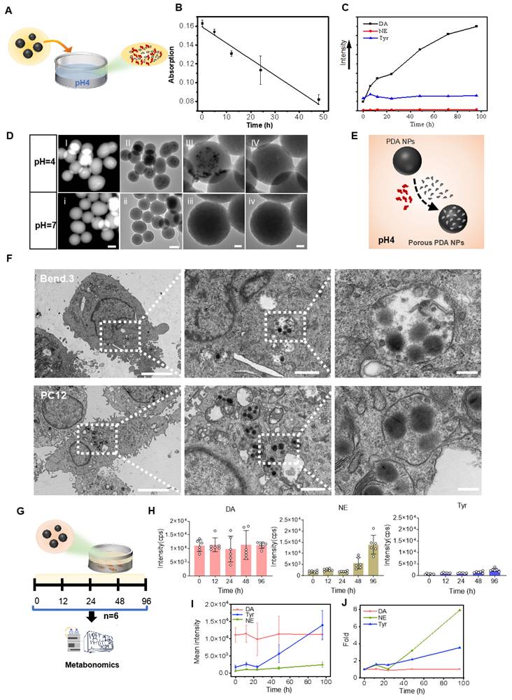 Theranostics Image