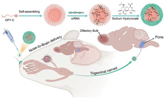 Theranostics Image
